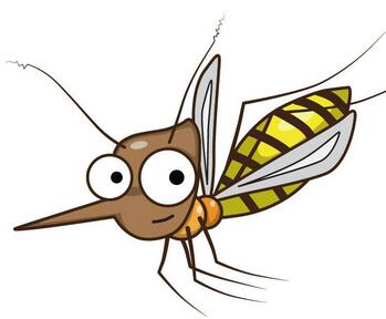 蚊子的危害有哪些？有什么预防措施吗？